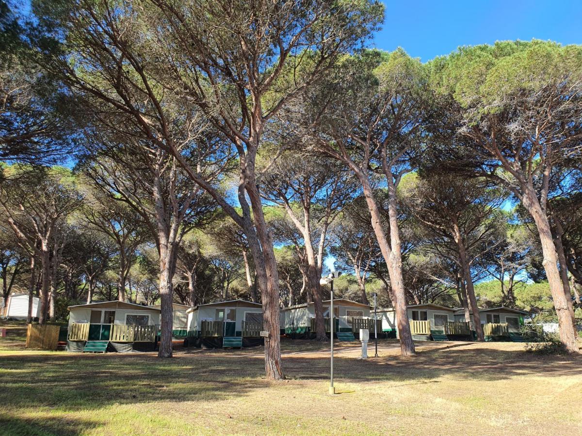 Camping Village S'Ena Arrubia Arborea Exterior photo