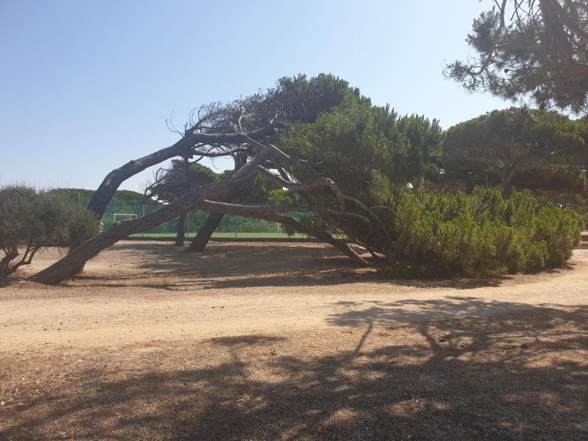 Camping Village S'Ena Arrubia Arborea Exterior photo