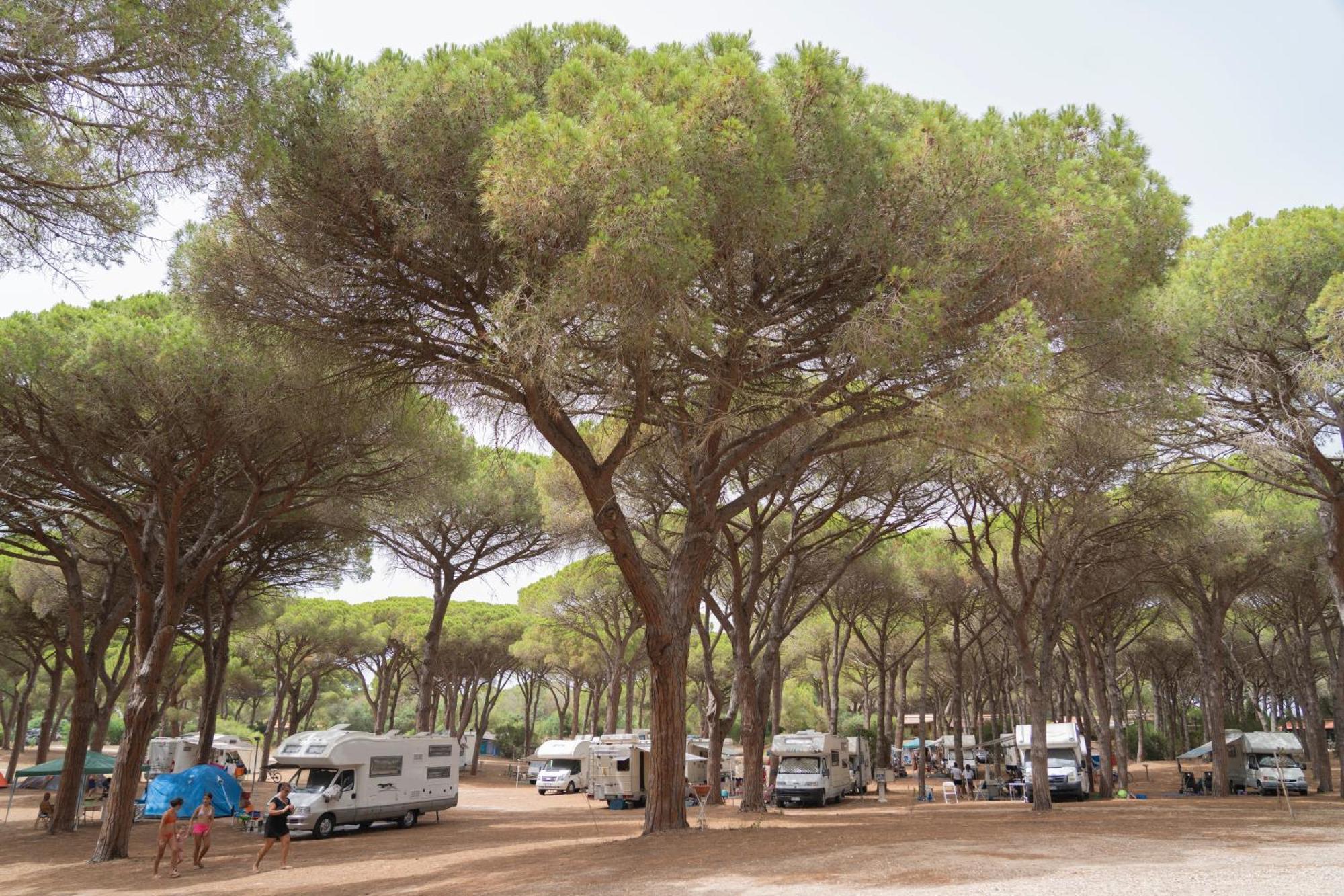 Camping Village S'Ena Arrubia Arborea Exterior photo